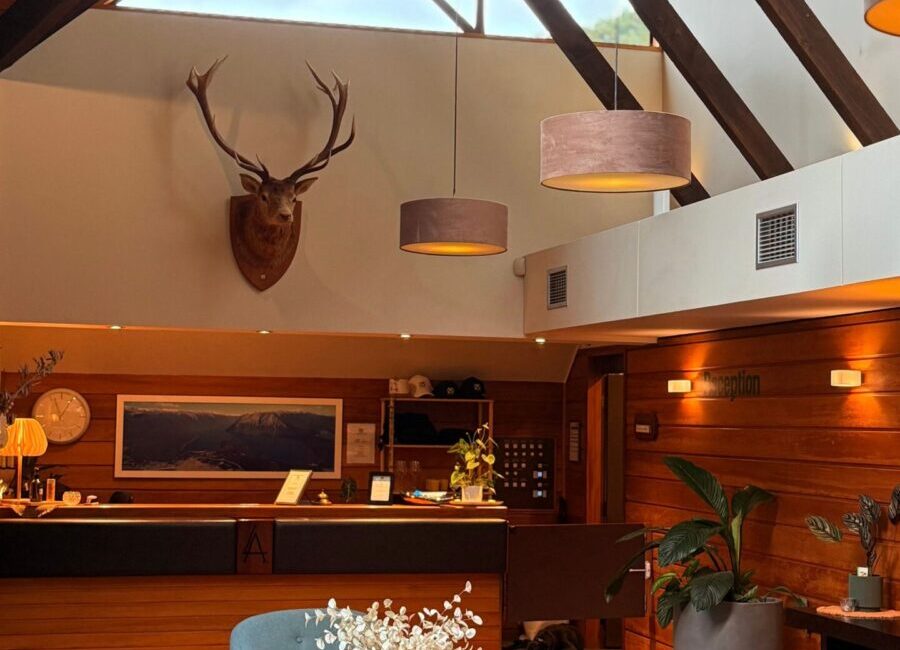 Warm lodge interior with rustic wood details and comfortable seating