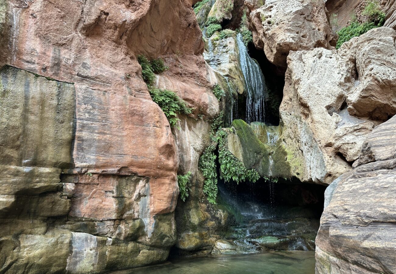 Waterfall and clear pool at Elves Chasm in the Grand Canyon