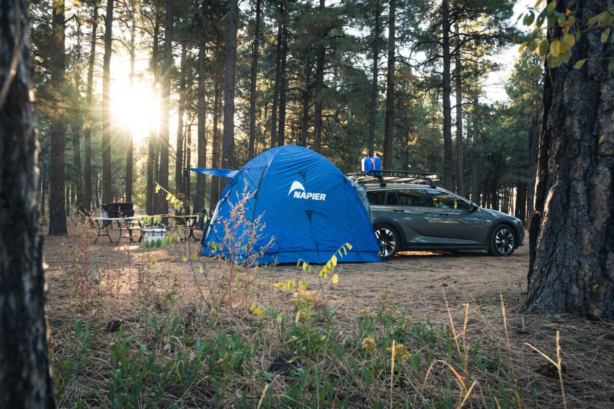 Blue dome tent in a pine forest campground near Flagstaff, Arizona