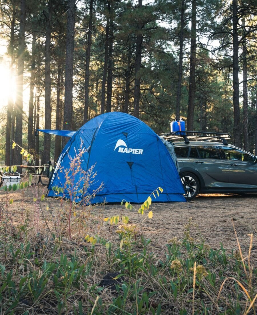 Blue tent and vehicle among ponderosa pines near Flagstaff, Arizona