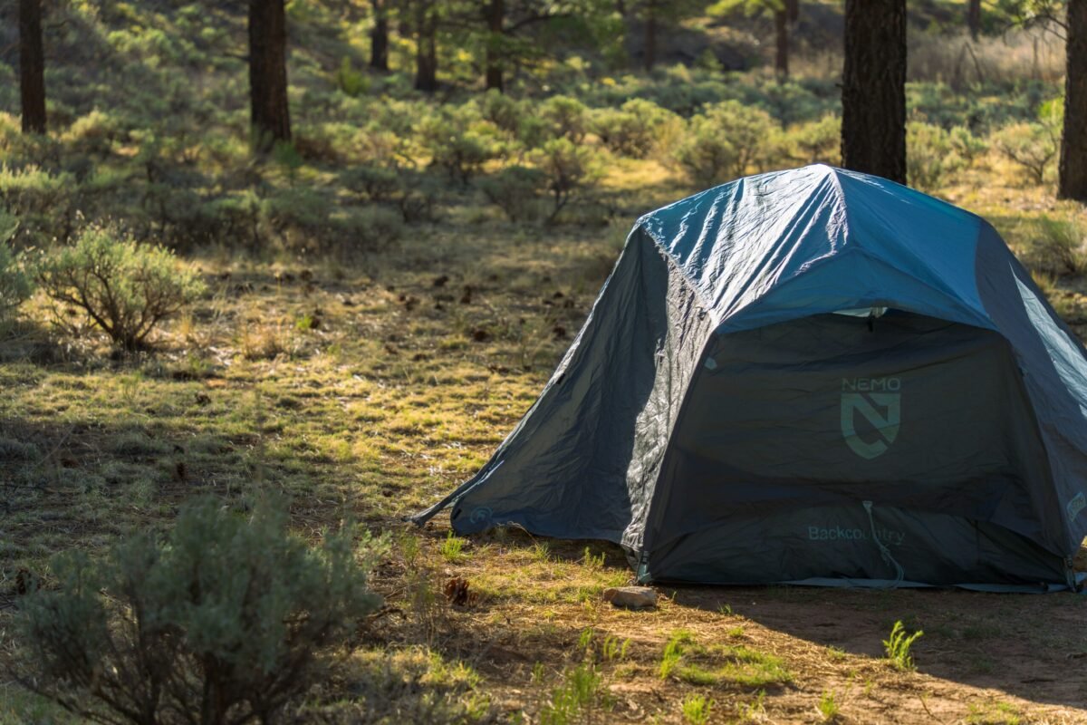 Tent campsite among pine trees in Kaibab National Forest near the Grand Canyon