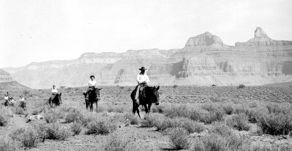 Visitors riding mules in the inner Grand Canyon on a 1955 guided trip