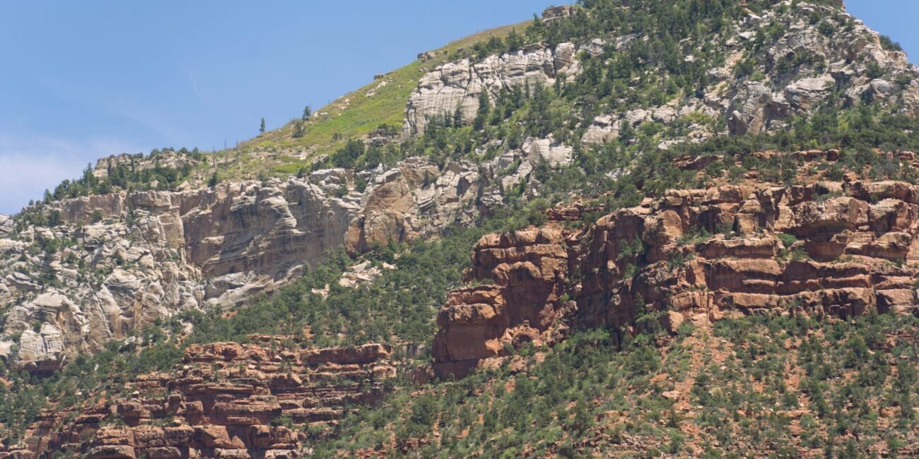 Forested Grand Canyon North Rim cliffs beneath a blue sky