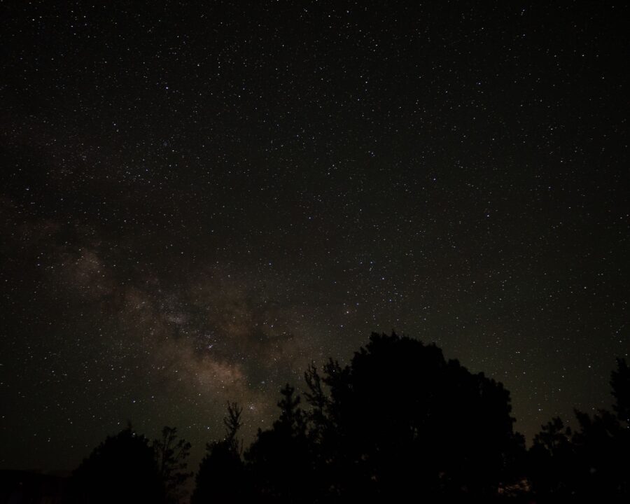 Milky Way above silhouetted trees at Grand Canyon West on the Hualapai Reservation