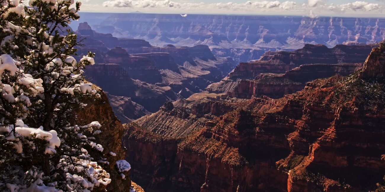 Grand Canyon winter view with snow-covered trees and layered canyon cliffs