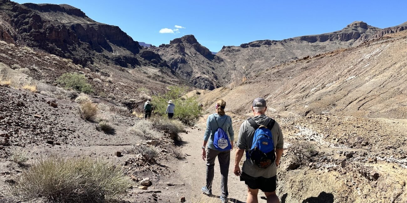 Hikers following a rocky trail inside the Grand Canyon