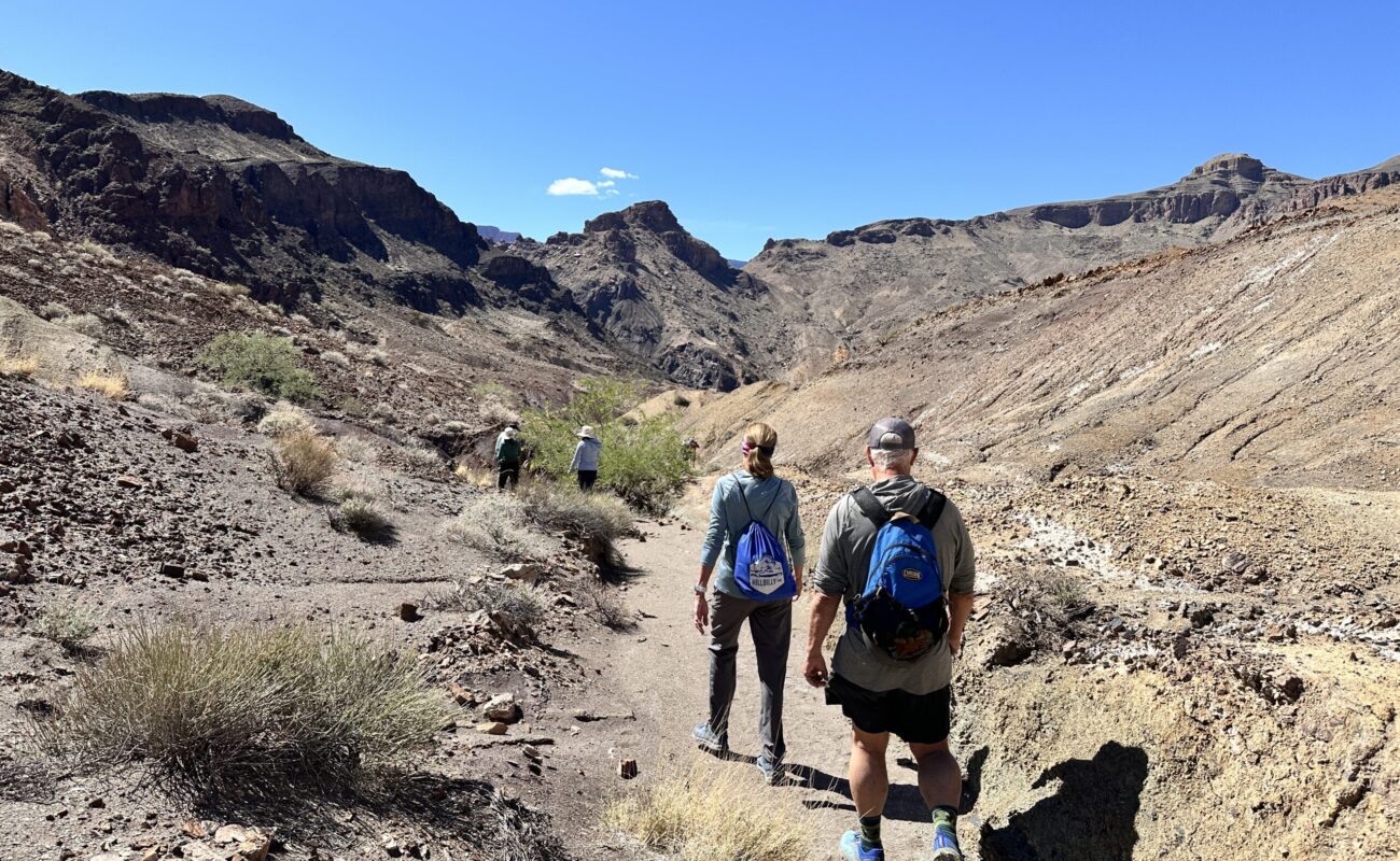 Hikers following a rocky trail inside the Grand Canyon