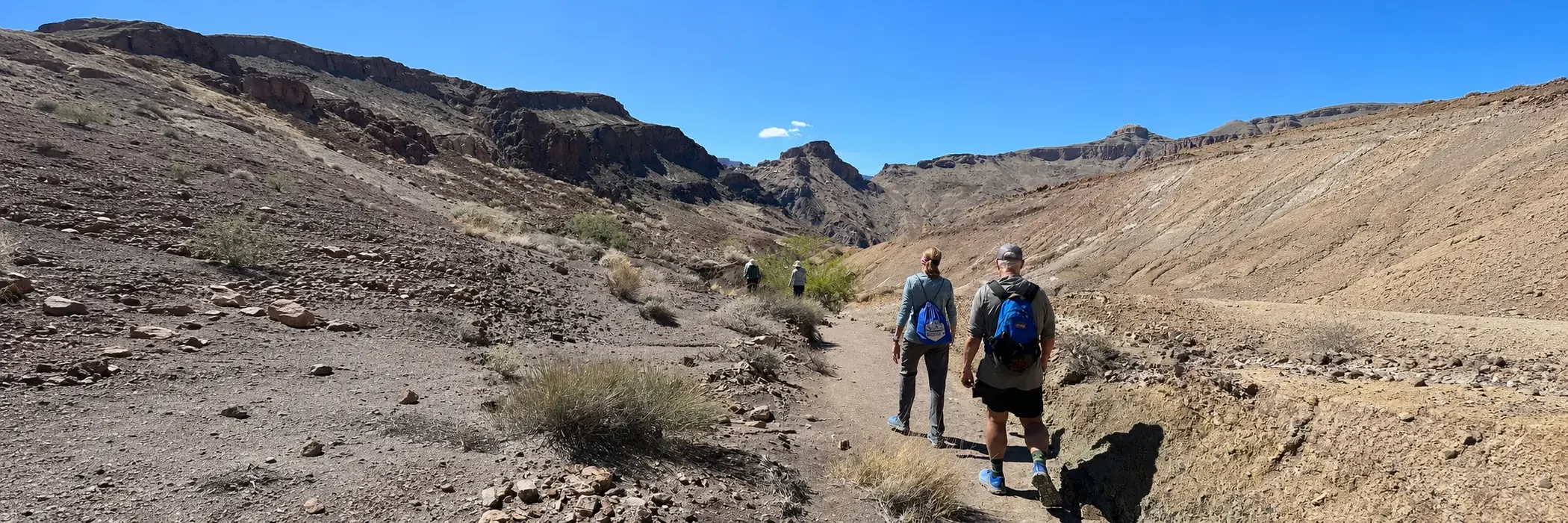 Hikers following a trail through the inner Grand Canyon
