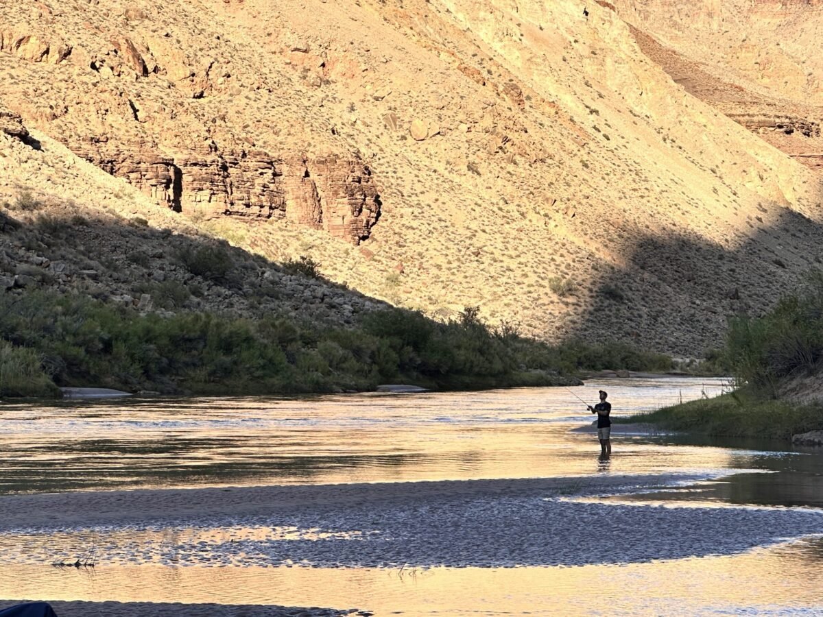 Person standing near the Colorado River in the Grand Canyon